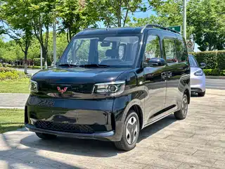 Wuling Motors Zhiguang NEV 2025