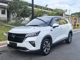 Wuling Motors Wuling Xingchen 2021