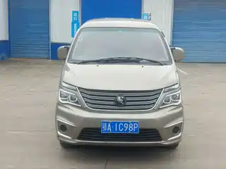 Dongfeng Fengxing Lingzhi 2021