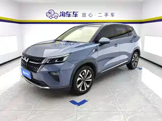 Wuling Motors Wuling Xingchen 2021