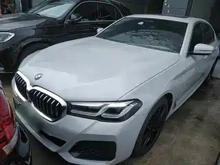 BMW 5 Series New Energy 2020