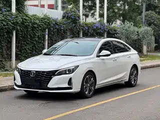Changan Ruicheng CC 2021