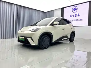 BYD Seagull 2025