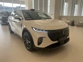 Voyah Auto Voyah Zhiyin 2025