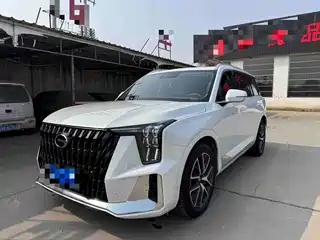GAC Trumpchi GS8 2021
