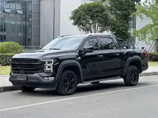 Foton Mars 2024