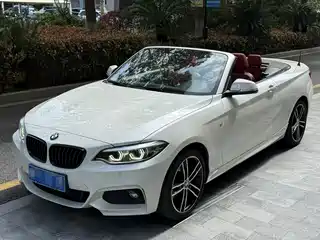 BMW 2 Series (Import) 2019