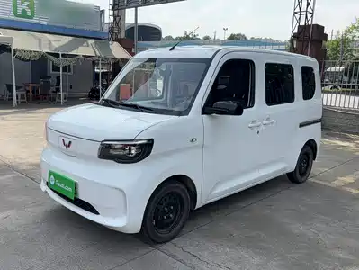 Wuling Motors Zhiguang NEV 2025