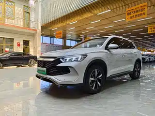 BYD Song Pro New Energy 2024