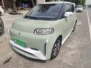 Ora White Cat 2022