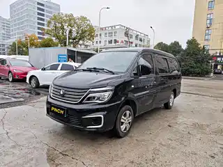 Dongfeng Fengxing Lingzhi 2021