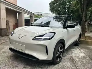 Wuling Motors Wuling Binguo PLUS 2024
