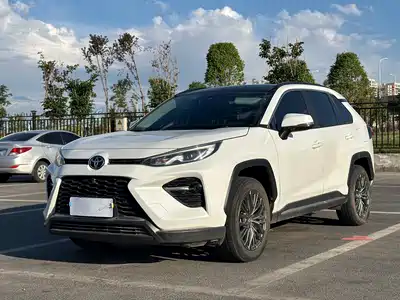 Toyota Wildlander 2024