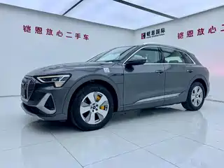 Audi Audi e-tron 2021