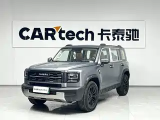 Haval Meng Long NEV 2025