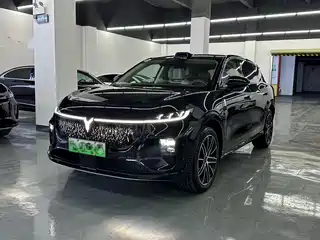 Voyah Auto Zhiyin 2025
