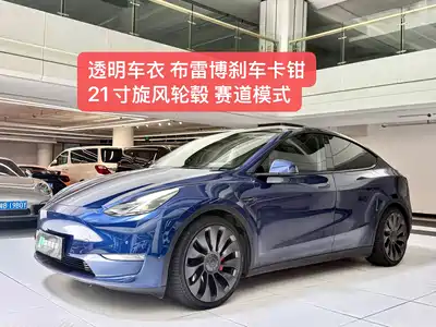 Tesla Model Y 2021