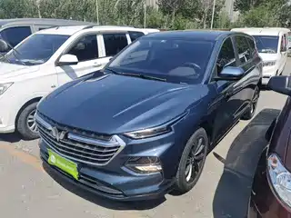 Wuling Motors Wuling Victory 2020