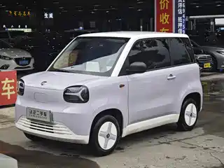 Zhido Rainbow 2024