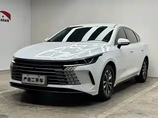 BYD Destroyer 05 2024