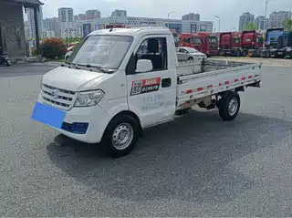 Ruichi New Energy EC31 2021