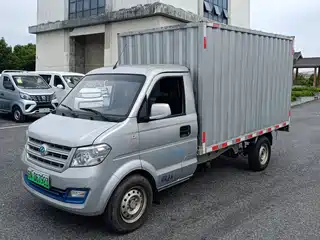 Ruichi New Energy EC31 2021