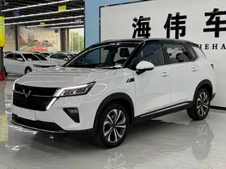 Wuling Motors Wuling Xingchen 2021
