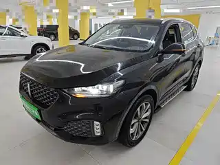 WEY VV6 2020
