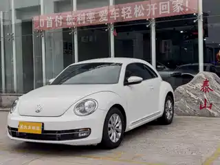Volkswagen Beetle 2014