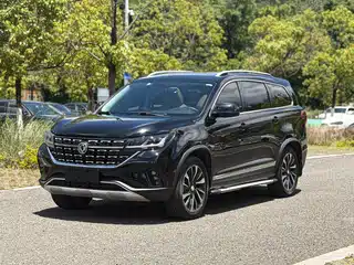 Dongfeng Fengxing T5L 2019