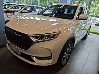Changan Oshan X7 2020