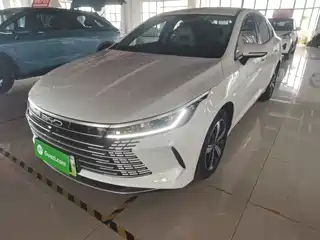 BYD Destroyer 05 2024