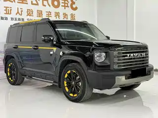 Haval Meng Long NEV 2024