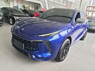 Dongfeng Fengxing Fengxing T5 EVO 2021