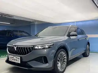 Voyah Auto FREE 2021