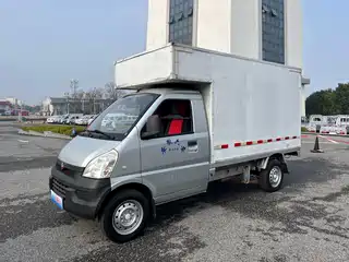 Wuling Motors Rongguang Mini Truck 2012