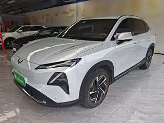 Wuling Motors Xingguang S 2024