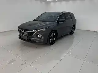 Wuling Motors Wuling Victory 2020