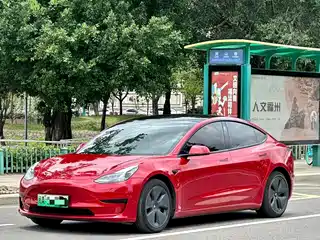 Tesla Model 3 2021
