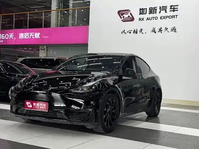 Tesla Model Y 2021