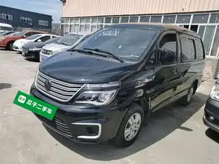 Dongfeng Fengxing Lingzhi 2021