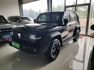 Tank 300 2024