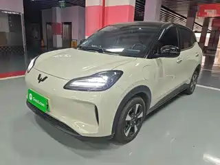 Wuling Motors Wuling Binguo PLUS 2024