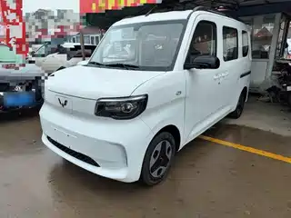 Wuling Motors Zhiguang NEV 2025