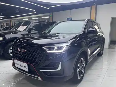 Sinotruk VGV VGV U75PLUS 2021