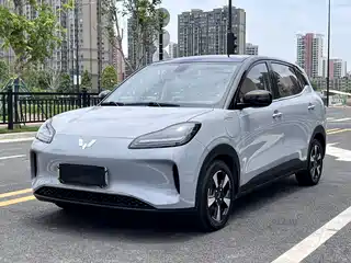 Wuling Motors Wuling Binguo PLUS 2024