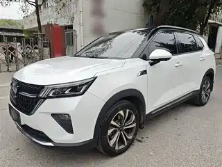 Wuling Motors Wuling Xingchen 2021