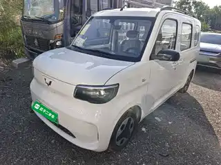 Wuling Motors Zhiguang NEV 2026