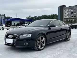 Audi A5 (Import) 2010