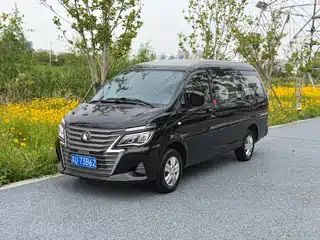 Dongfeng Fengxing Lingzhi 2021